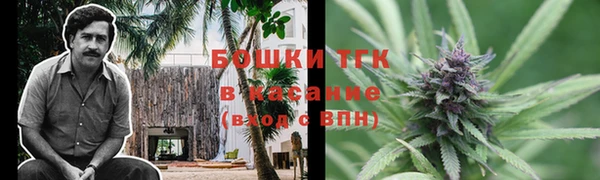 МДПВ Богородицк
