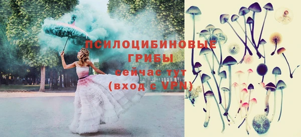 синтетический гашиш Богородск