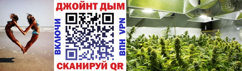 Конопля Ganja Бородино